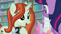 Photographer "the Canterlot Historical Society" S8E13