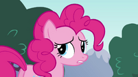 Pinkie Pie "I let my pride get in the way" S4E12