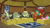 Pinkie Pie and yaks sleeping on beds of hay S7E11