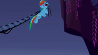 Rainbow Dash connecting the bridge S1E02