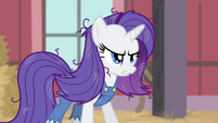 Rarity with messy and dusty mane S4E13