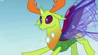 Thorax having a realization S7E17