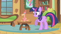What in Equestria, is Princess Celestia's pet doing here?