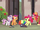 Apple Bloom "this is so excitin'!" S7E8.png