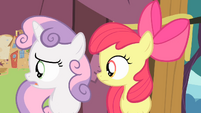 Apple Bloom and Sweetie Belle sees Scootaloo S4E05