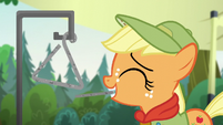 Applejack Plays the Triangle S5E24