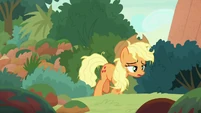 Applejack emerges from bushes exhausted S8E23.png (901 KB) Sounds of Silence