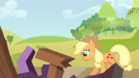 Applejack everything S3E8