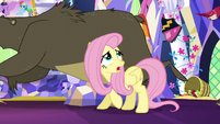 Fluttershy tries in rein in stampeding animals S5E3