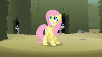 Fluttershy trying to find butterflies S2E01