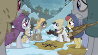 Earth ponies shivering in the cold.