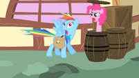 Pinkie Pie pops out of a barrel S1E25