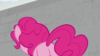 Pinkie Pie with her back turned S9E14