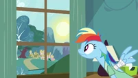 Rainbow Dash morning S02E16