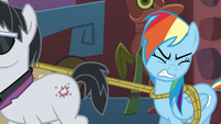 Rainbow tries to break free of the ropes S6E13