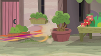 Scootaloo speeding toward Sugar Belle S7E8