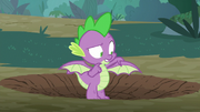 Spike looking at his new wings S8E11