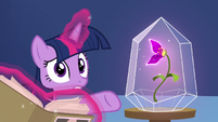 Twilight gesturing to enchanted flower S9E22