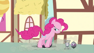 637px-Pinkie Stomping On Crankys Wig S02E18