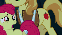 Apple Bloom calling out to Applejack S5E6