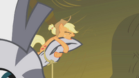 Applejack wrestling with Zecora's ear S1E09