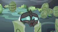 Baby Thorax looking scared S6E16