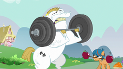My Little Pony - Bulk Biceps (5JX6TJGCM) by PrinceOfPonies