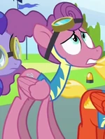 Feather Twirl ID S6E24