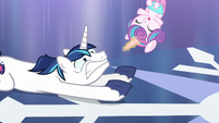 Flurry Heart about to land onto Shining Armor's hooves S6E2