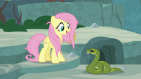 Fluttershy "they're vegan" S9E18