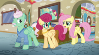 Fluttershy disapproves of her parents' idea S6E11