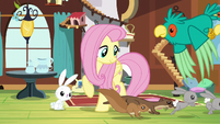 Fluttershy gathering animals together S5E3