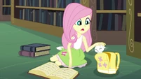 Fluttershy petting Angel in the CHS library EG3