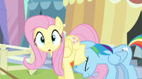 Fluttershy surprised S3E2