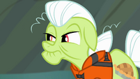 Granny Smith glaring at Applejack S4E09