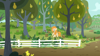 Pear Butter pulling a lot of weeds S7E13
