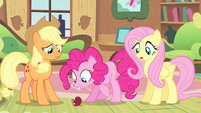 Pinkie Pie staring at the apple S04E07