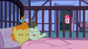 Pound Cake 'Pinkie!' S2E13