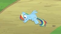 Rainbow Dash Pondering 4 S2E16