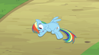 Rainbow Dash Pondering 4 S2E16