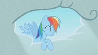 Rainbow Dash smiling down at Twilight.