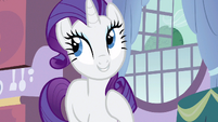 Rarity organize S3E9