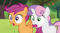 Sweetie Belle and Scootaloo shocked S5E17