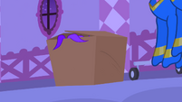 The box containing Sapphire's headdress S4E19