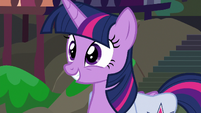 Twilight Sparkle grinning with excitement S9E5