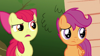 Apple Bloom "why in tarnation would you promise" S6E19