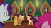 Coriander "nopony here wants to try anything new!" S6E12.png (825 KB) Coriander "nopony here wants to try anything new!" S6E12