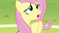Fluttershy apologizing to Rainbow Dash S6E18