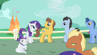 Rarity recruiting other ponies to pull the carriage.