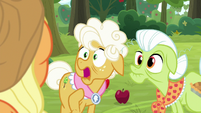 Goldie shocked at Applejack's accusation S9E10